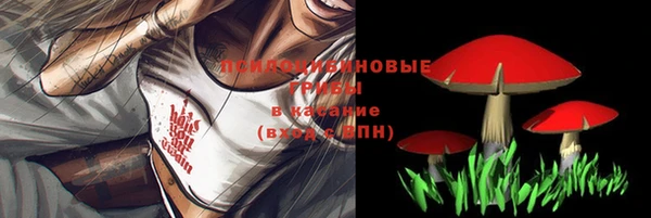 дмт Балабаново